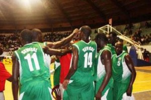 Lions-du-basket