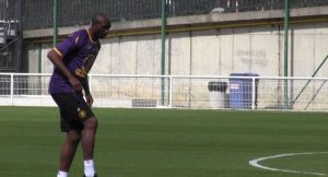 Stéphane Mbia