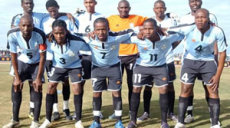 Les Zèbres du Botswana
