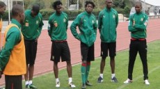 Le Cameroun en amical en novembre contre l'Albanie