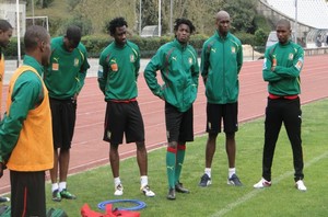 Le Cameroun en amical en novembre contre l'Albanie