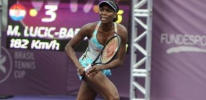 venus williams