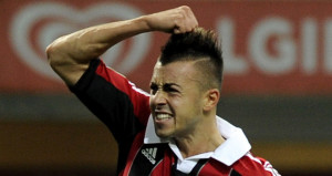 El shaararawy art