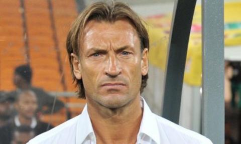 Hervé renard