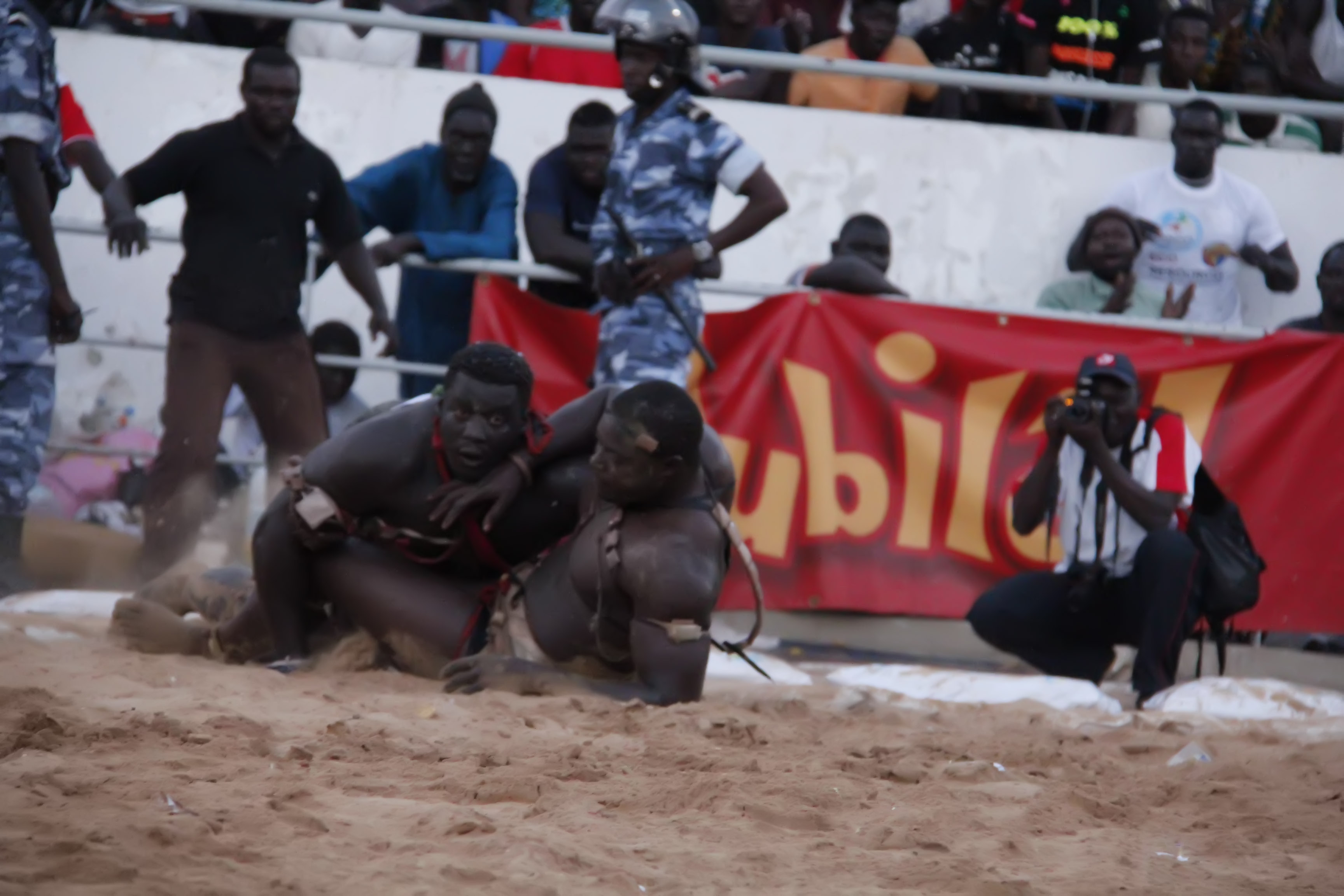 Lutte Sénégal Gris II, le petit frère de Gris Bordeaux affole l'arène