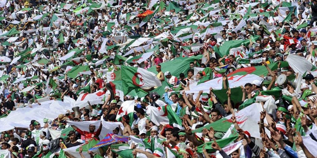algerie-belgique1