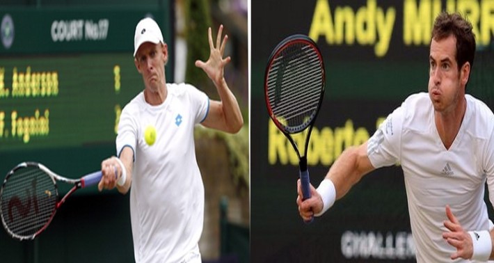 kenvin anderson_andy murray