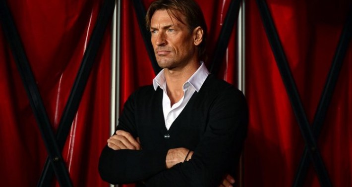 renard (Copier)