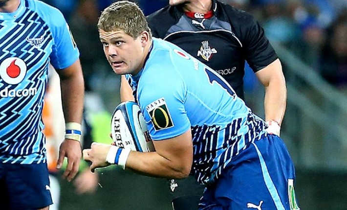 Paul Willemse_Bulls