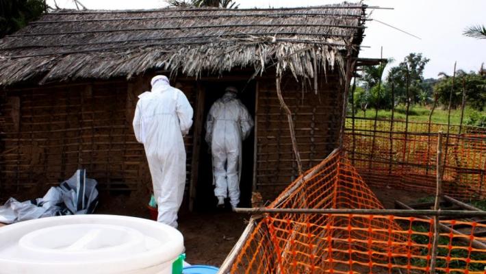 ebola