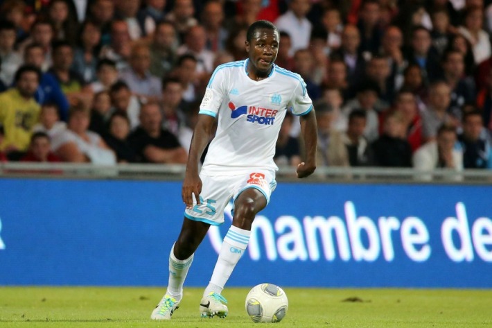Imbula