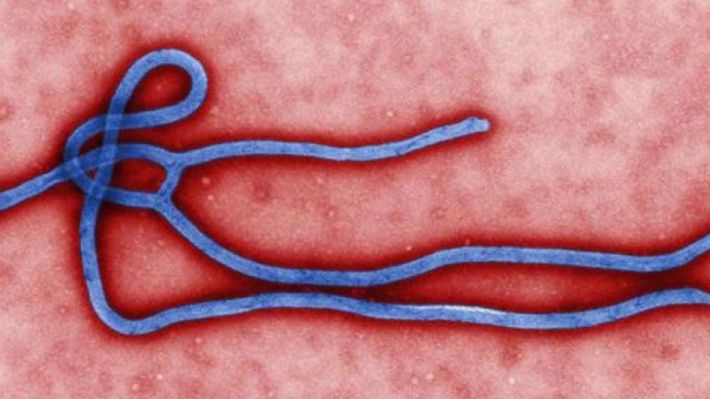 Virus Ebola