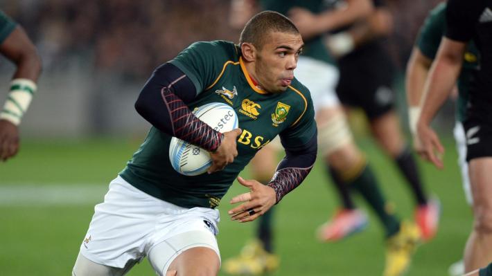 Les Springboks