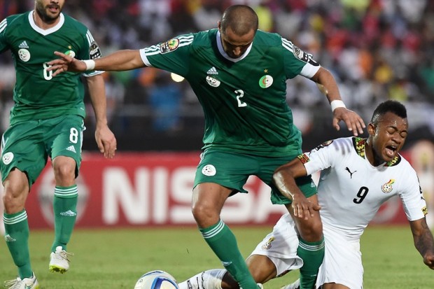 Madjid Bougherra