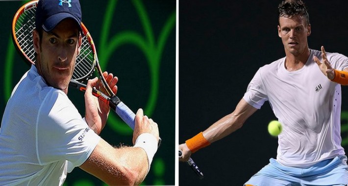 andy murray_tomas berdych
