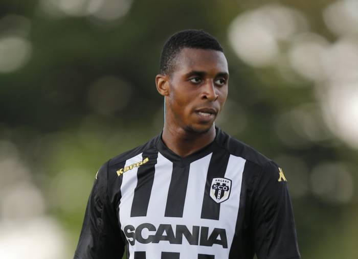 kodjia nvo