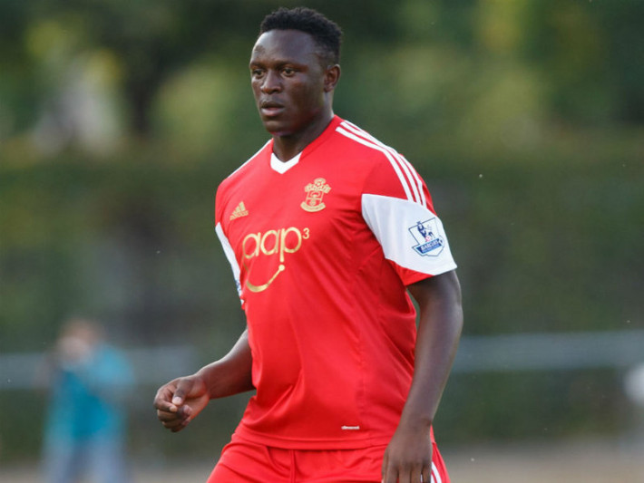wanyama nvo