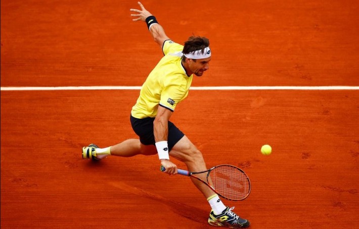 david ferrer