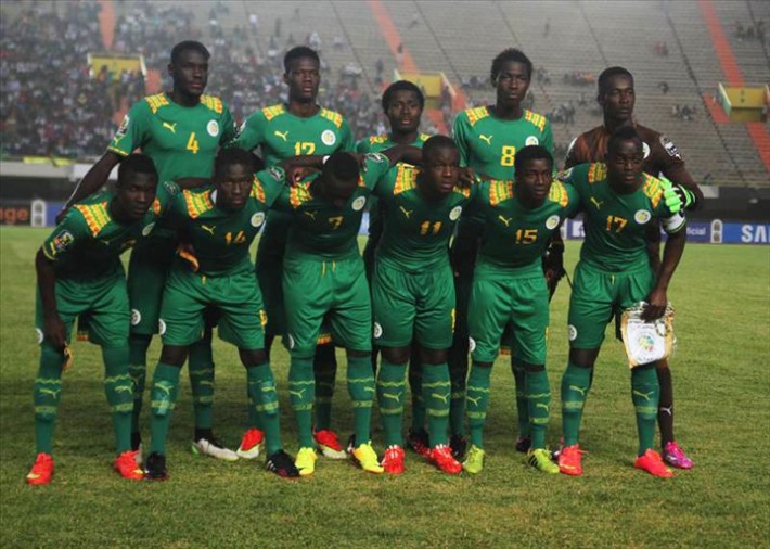 Lionceaux du Sénégal