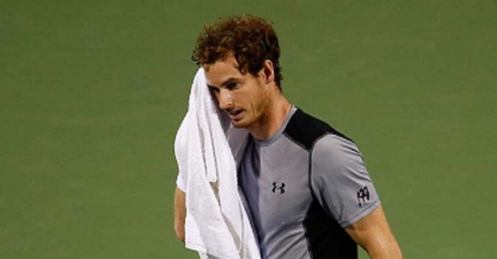 andy murray