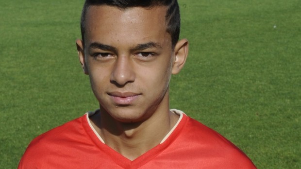 hamzaoui nvo