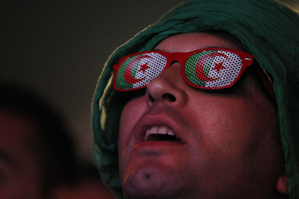 algerifans (Copier)