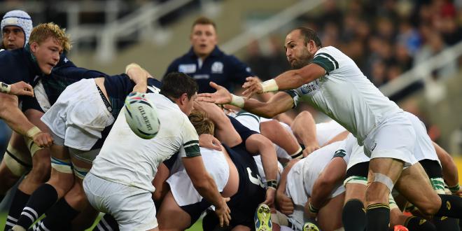 fourie-du-preez-rugby_a778373218226fcc39ba4f2551da0d7a