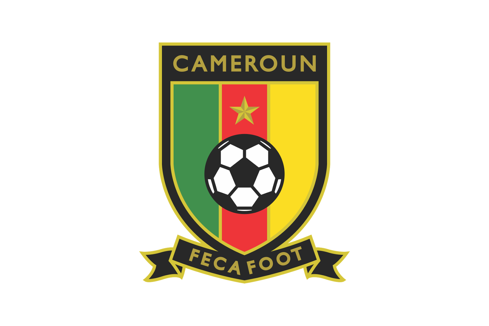 Cameroun Fédération de foot cherche sélectionneur Africa Top Sports