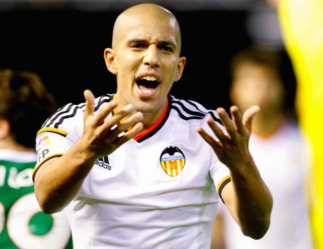 feghouli nvo valence