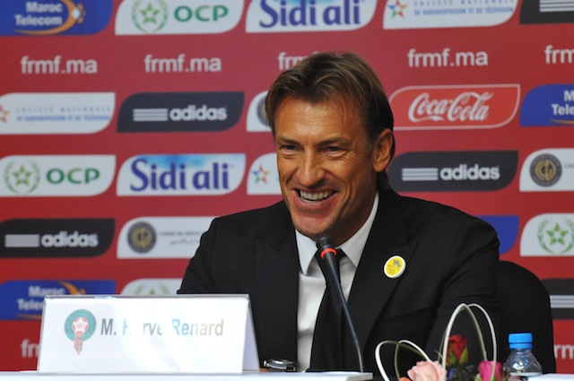 renard-maroc
