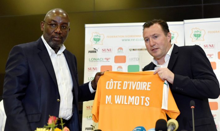 wilmotsci