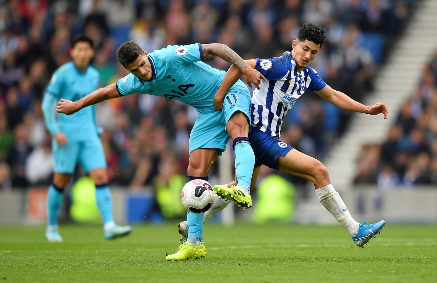 Брайтон тоттенхэм прогноз. Брайтон Тоттенхэм. Brighton vs Tottenham. Тоттенхэм Брайтон прогноз на сегодня