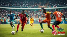 les statistiques des footballeurs africains