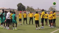 Eperviers Togo