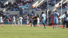 Botswana Algérie