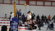 Championnat d’Afrique de volleyball
